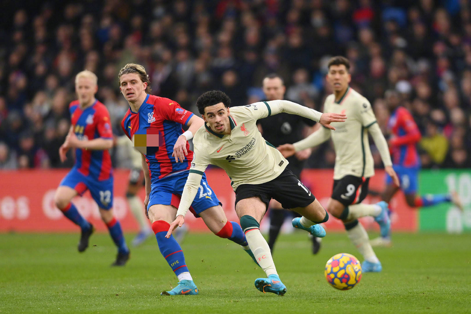 媒体的头条 媒体的头条